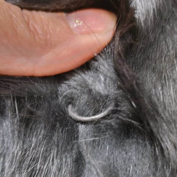 SOMERSET FURS BLACK 100% PURE RABBIT COAT SIZE LARGE - Picture 7 of 7